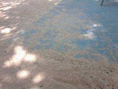 20110417185914-grava-parc-canmula.jpg